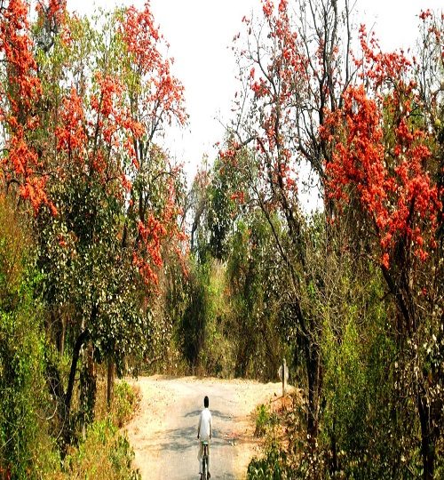 Purulia-Garpanchkot-in-west-bengal-q0b8aod1kxxfkm05o2yxdw8pttq5ncovu6kxh8lrfc.jpg
