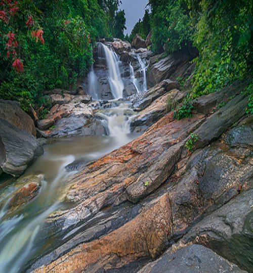 istockphoto-1030485698-170667a-q0b8aod1kxxfkm05o2yxdw8pttq5ncovu6kxh8lrfc-1.jpg